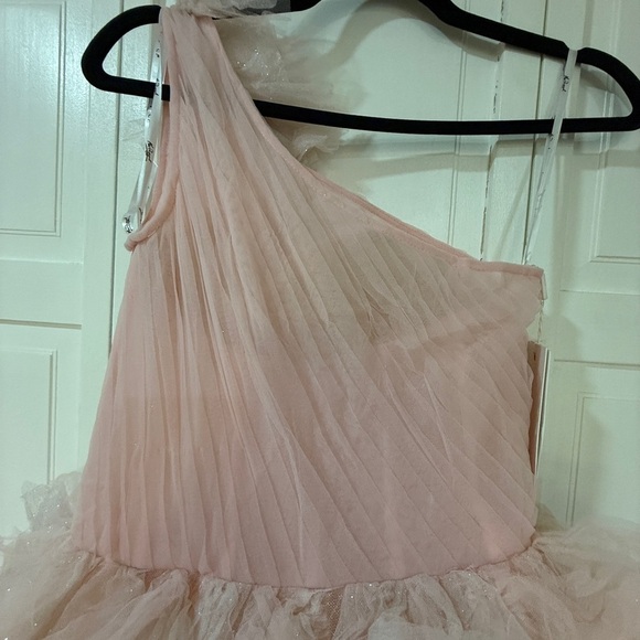 NWT | Mac Duggal 20592 Light Pink Glitter Tulle Gown Size 2 - Picture 14 of 16